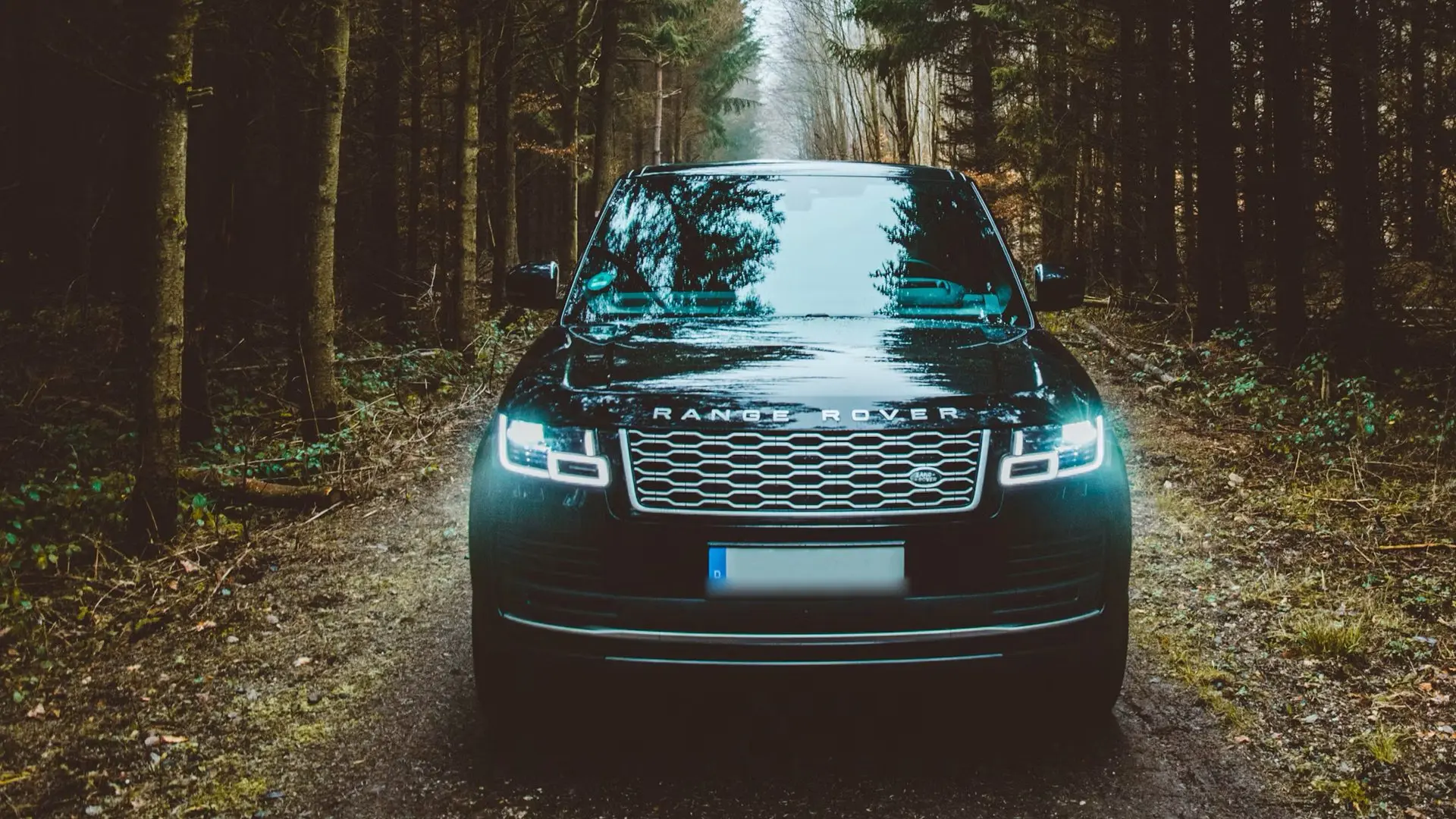 Orman yolunda farları yanan siyah Range Rover
